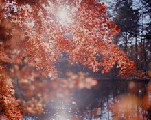 Load image into Gallery viewer, &#39;偶然&#39; book by Grace Chun