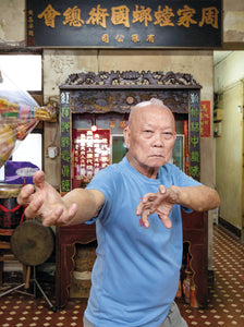 "Hong Kong Kungfu Salon" book