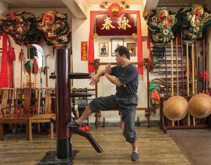 "Hong Kong Kungfu Salon" book