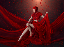 Load image into Gallery viewer, 'Portrait @ Creativity' book by Albert Young