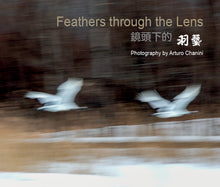 Load image into Gallery viewer, 'Feathers through the lens' book