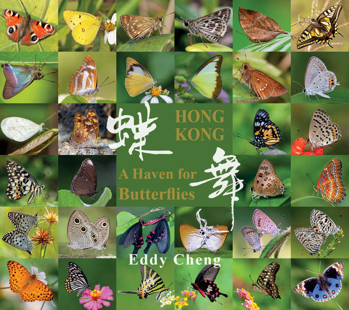 'Hong Kong: A Haven for Butterflies' photo book