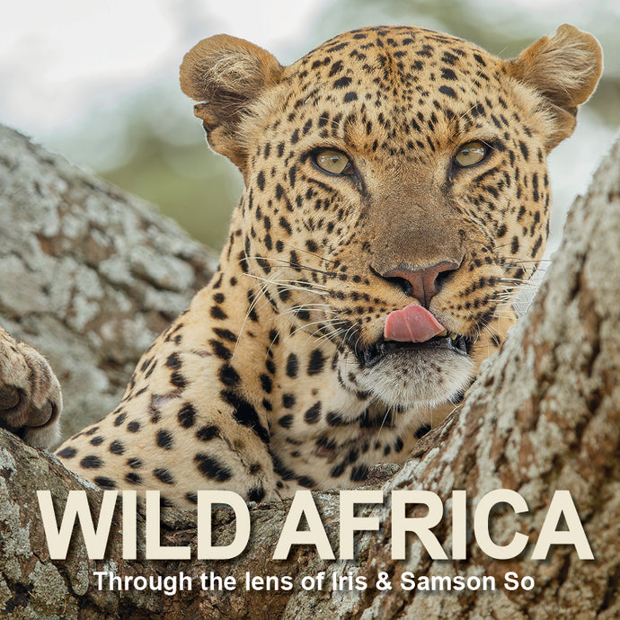 'WILD AFRICA' book by Iris & Samson So
