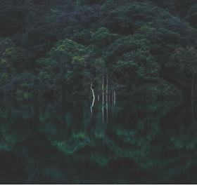 'Light Up' photo exhibition Square framed prints by Carlo Yuen