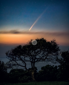 'PEARL IN THE DARK' book by Wilson Chu