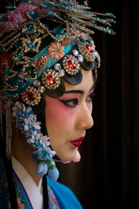 'Quest of the hidden artisan' photo book by Diana Chan, FRPS