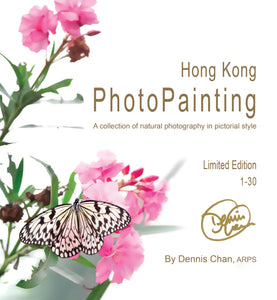 PhotoPainting book