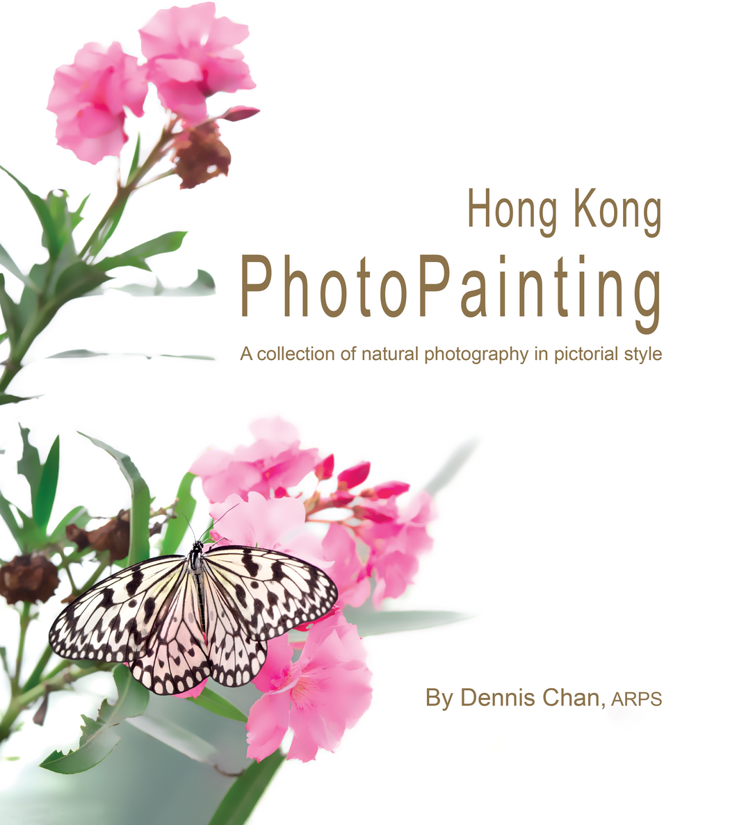 PhotoPainting book