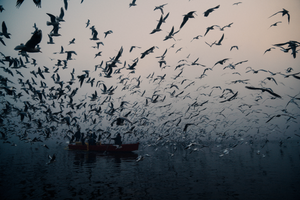 'India' photo book by Adrian Wong